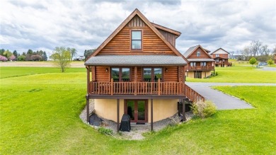 Lake Home For Sale in Geneva Town, New York