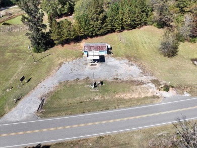 Lewis Smith Lake Commercial For Sale in Bremen Alabama