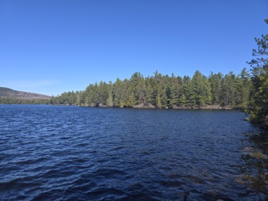 (private lake, pond, creek) Acreage For Sale in Beddington Maine