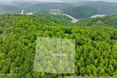 Lake Acreage For Sale in Caryville, Tennessee