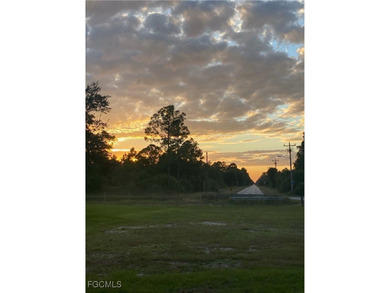 Lehigh Acres Area Lot For Sale in Lehigh Acres Florida