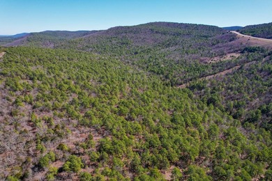 If you have been in the market for an awesome hunting property - photo 11
