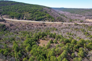 If you have been in the market for an awesome hunting property - photo 12