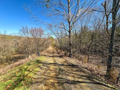 If you have been in the market for an awesome hunting property - photo 14