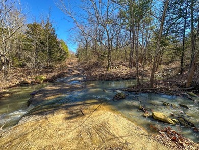 If you have been in the market for an awesome hunting property - photo 15
