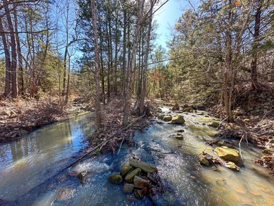 If you have been in the market for an awesome hunting property - photo 16