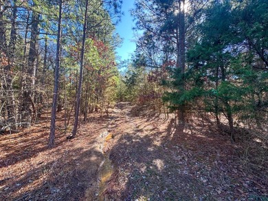 If you have been in the market for an awesome hunting property - photo 17