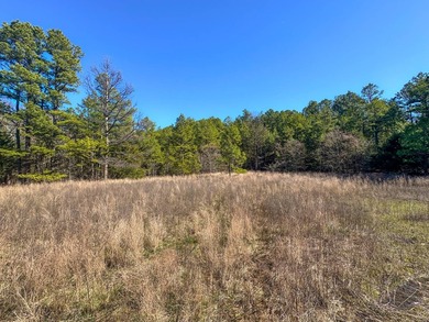 If you have been in the market for an awesome hunting property - photo 19
