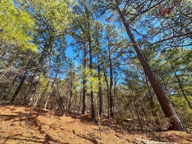 If you have been in the market for an awesome hunting property - photo 21