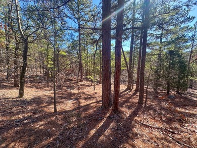 If you have been in the market for an awesome hunting property - photo 22