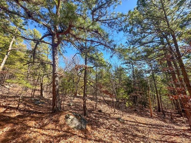 If you have been in the market for an awesome hunting property - photo 23