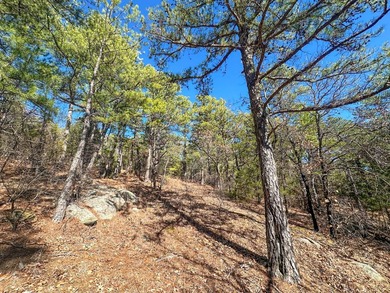 If you have been in the market for an awesome hunting property - photo 24