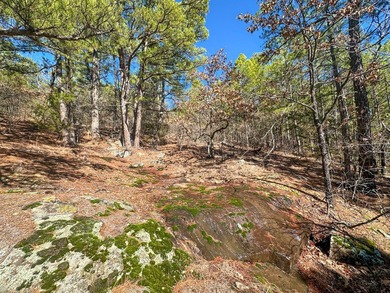 If you have been in the market for an awesome hunting property - photo 25