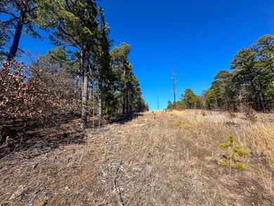 If you have been in the market for an awesome hunting property - photo 29