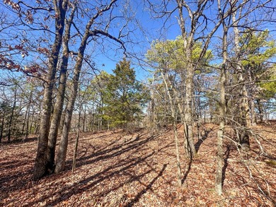 If you have been in the market for an awesome hunting property - photo 30