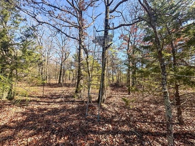 If you have been in the market for an awesome hunting property - photo 31