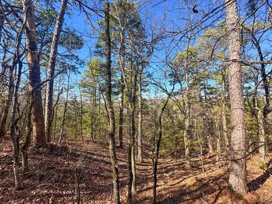 If you have been in the market for an awesome hunting property - photo 34