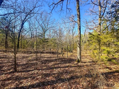 If you have been in the market for an awesome hunting property - photo 36