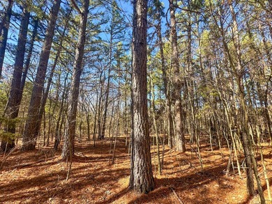 If you have been in the market for an awesome hunting property - photo 37
