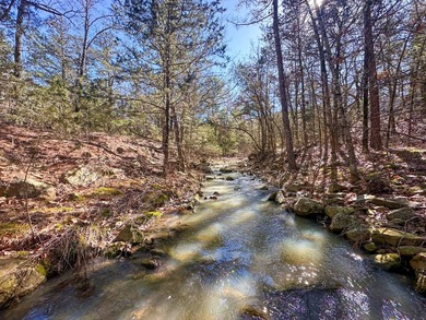 If you have been in the market for an awesome hunting property - photo 38