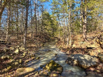If you have been in the market for an awesome hunting property - photo 39