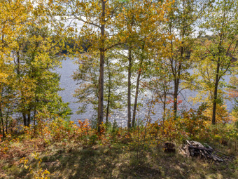 Shishebogama Lake Acreage For Sale in Minocqua Wisconsin