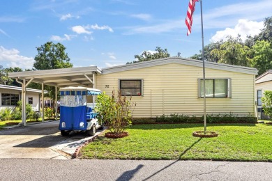 Lake Harris Home For Sale in Leesburg Florida