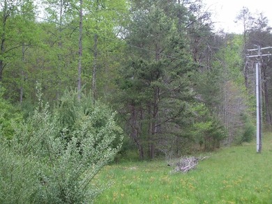 Paintsville Lake Acreage Sale Pending in Staffordsville Kentucky