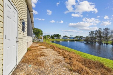 (private lake, pond, creek) Home For Sale in Oldsmar Florida