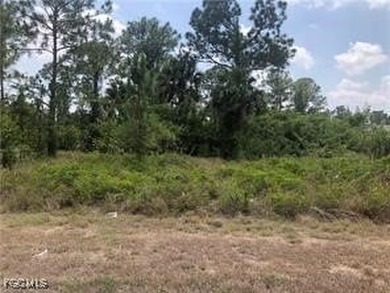 Lehigh Acres Area Lot For Sale in Lehigh Acres Florida