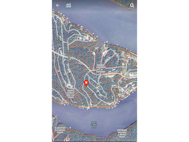 Tiny price. Big lake energy. Just a stone's throw from Lake of - photo 4