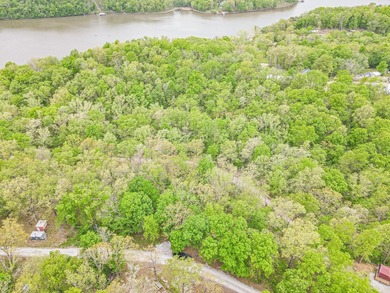 Tiny price. Big lake energy. Just a stone's throw from Lake of - photo 7