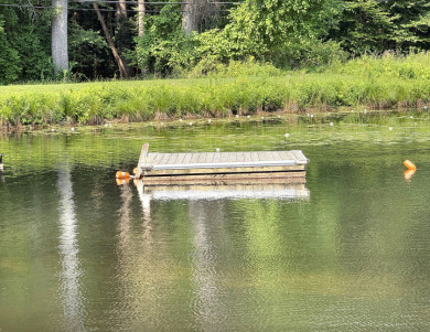 Log Home, picturesque, babbling brook, private community beach - photo 29