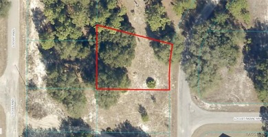 (private lake, pond, creek) Lot For Sale in Ocala Florida