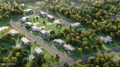 Welcome to The Baron Model. A luxurious home to be built in the - photo 2