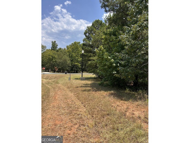 Build your dream lake home on this dockable lake lot in the - photo 6