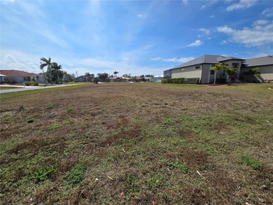 Discover the perfect opportunity to create your dream Florida - photo 4