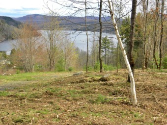 Crystal Lake Views offered from this nice private 2.49 acre lot. - Lake Acreage For Sale in Barton, Vermont