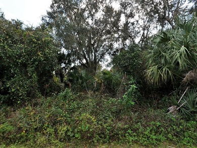 Northport Waterway Lakes and Canals Lot For Sale in North Port Florida