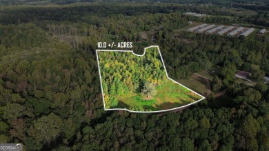 Lake Acreage For Sale in Martin, Georgia