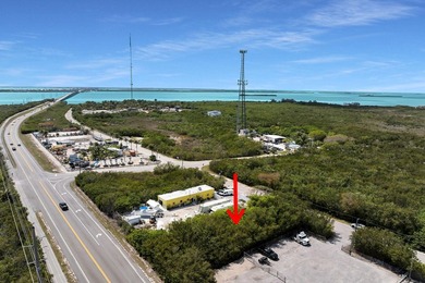 Rare opportunity to acquire a commercially zoned, vacant land - photo 1