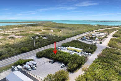 Rare opportunity to acquire a commercially zoned, vacant land - photo 2