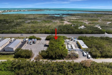 Rare opportunity to acquire a commercially zoned, vacant land - photo 7