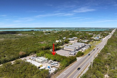 Rare opportunity to acquire a commercially zoned, vacant land - photo 8