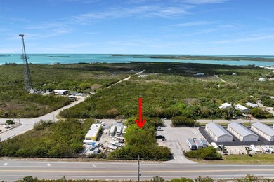 Rare opportunity to acquire a commercially zoned, vacant land - photo 9