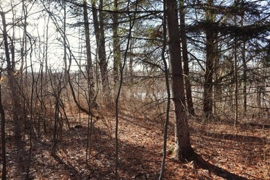 Tucked away off the road sits a one room tiny cabin perfect for - photo 4
