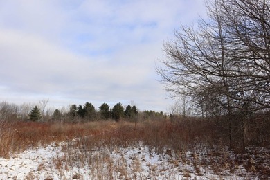 Tucked away off the road sits a one room tiny cabin perfect for - photo 8