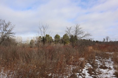 Tucked away off the road sits a one room tiny cabin perfect for - photo 9