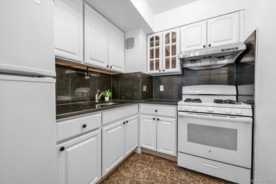 Welcome to Lane Towers, a luxury high-rise co-op with a 24-hour - photo 8