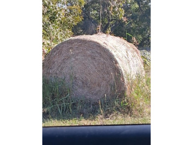 "Rural Roots" - photo 28